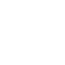 HR Consulting 