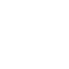 Policies And Procedures